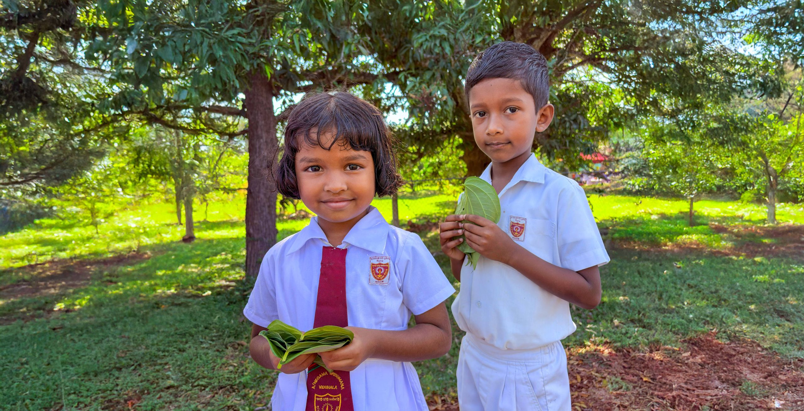 Gammadda Delivers Clean Water Solution to Negama Village School